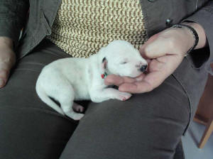 Unser Kleiner: Bendix