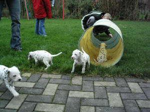 Zum ersten mal Drau�en!!