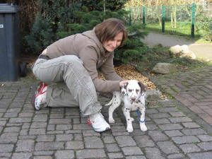 Bowie mit seinem Frauchen