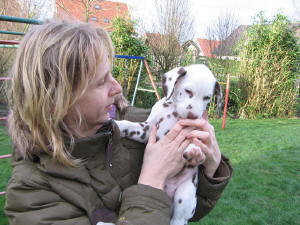 Brian sucht noch ein Zuhause