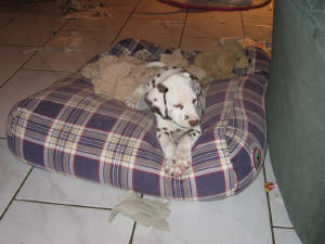 So sieht es nach der Arbeit aus.