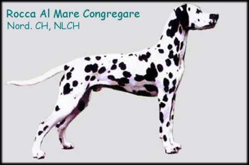 Rocca al Mare Congregare (gen. Gregor)