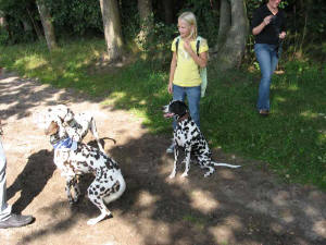 Welpentreffen 2007 "vom Velener Schloss"