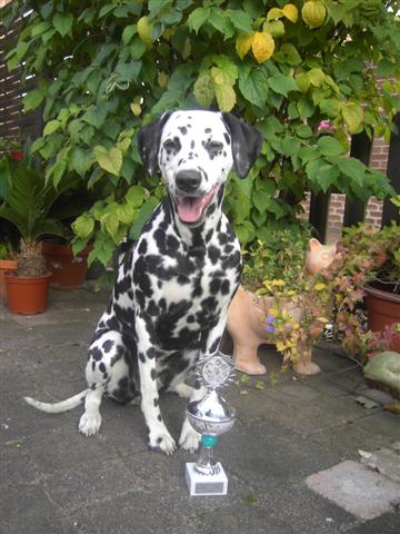 Zweiter Platz im Fressnapf wettbewerb