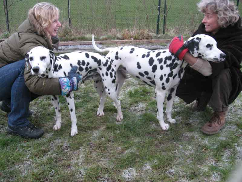 Hochzeit von Aisha und Harry