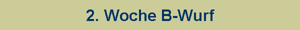 2. Woche B-Wurf