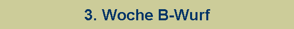 3. Woche B-Wurf