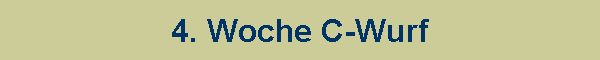 4. Woche C-Wurf