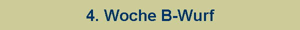 4. Woche B-Wurf