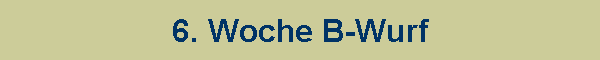6. Woche B-Wurf