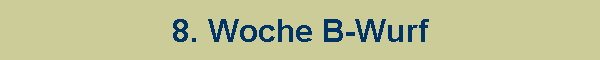 8. Woche B-Wurf