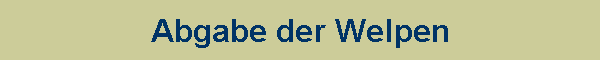 Abgabe der Welpen