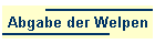 Abgabe der Welpen