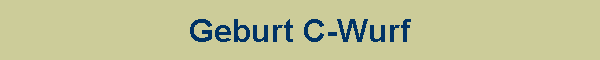 Geburt C-Wurf