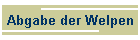 Abgabe der Welpen