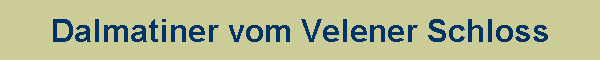 Dalmatiner vom Velener Schloss