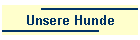 Unsere Hunde