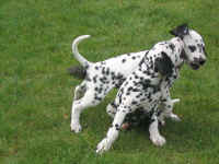 Andra und April beim spielen