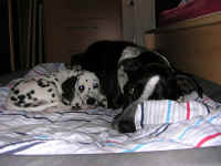 Aidean mit ihrem Bruder Asco