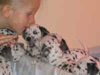 Unsere Tochter Kim bei den Welpen