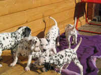 Spielen ist drau�en soooo sch�n