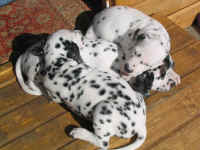 Schlafen nach dem spielen